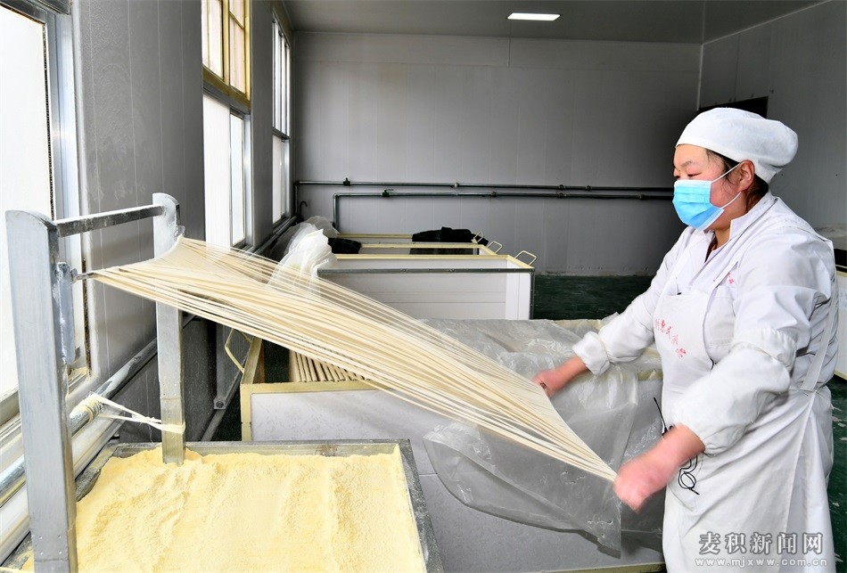 麦积区“银丝丝”成为农民脱贫致富的“香饽饽”